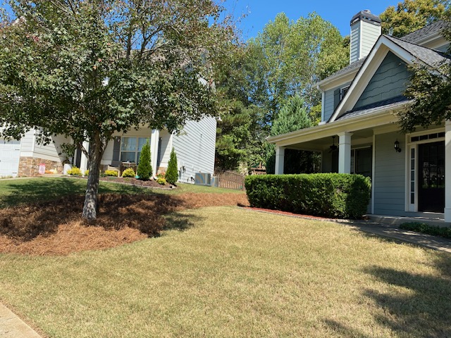 Yard cut, bush trimming, mulch, pinestraw & Japanese maple trimming