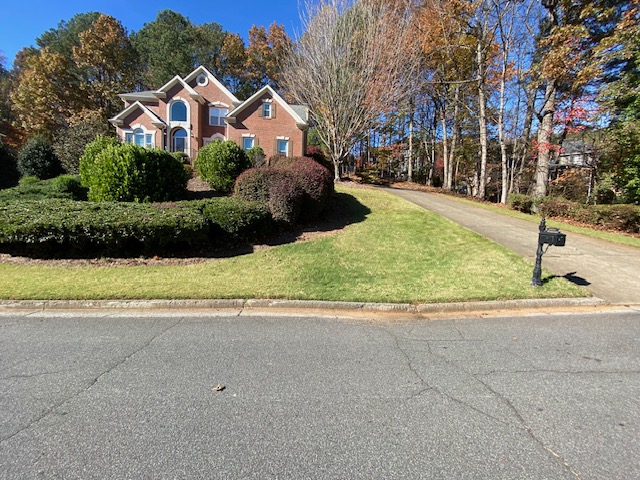 AFTER - Leaf cleanup