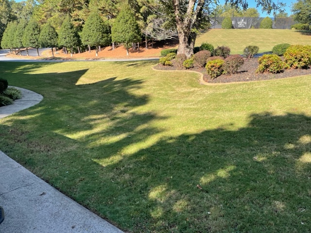 Moe Lawns of Milton, GA - Leaf Clean Up - After