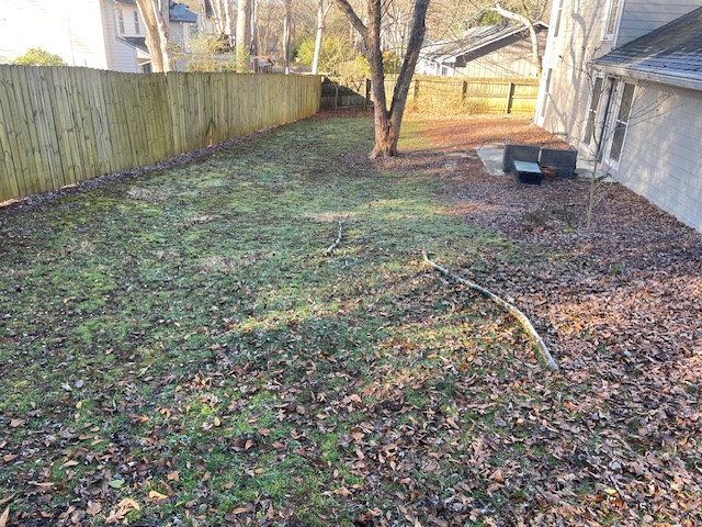 Leaf Cleanup in Milton, GA - BEFORE