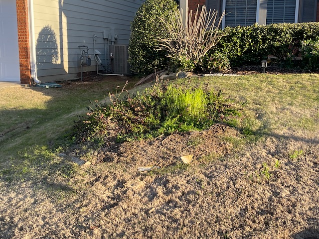 Flattened tree stump & Installed New Bermuda Sod