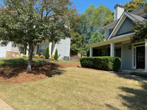 Yard cut, bush trimming, mulch, pinestraw & Japanese maple trimming