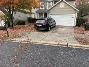 BEFORE - Leaf cleanup