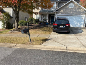 AFTER - Leaf cleanup