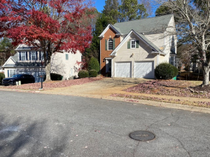 BEFORE - leaf clean up, bush trimming and a yard cut
