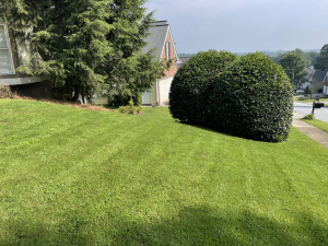 Moe Lawns of Milton, GA