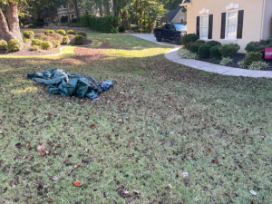 Moe Lawns of Milton, GA - Leaf Clean Up - Before