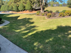 Moe Lawns of Milton, GA - Leaf Clean Up - After