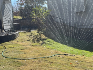 Moe Lawns of Milton, GA - Sod Installation