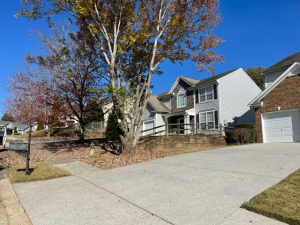 Moe Lawns of Milton, GA - Tree Trimming to Remove Hanging Branch Dangers AFTER