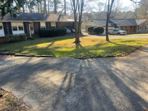 Moe Lawns of Milton, GA - Leaf Clean Up BEFORE