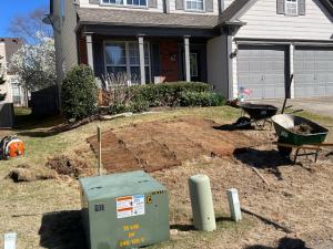 Flattened tree stump & Installed New Bermuda Sod