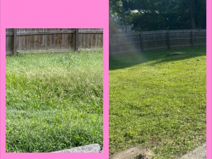 Moe Lawns of Milton, GA - Grass Mowing & Edging